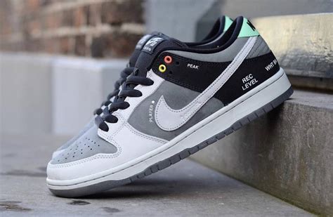 Nike vx1000 sb dunks